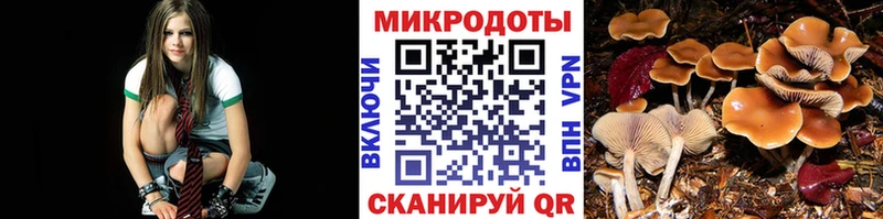 где можно купить наркотик  Глазов  Галлюциногенные грибы мухоморы 